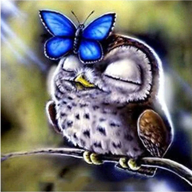

LUOVIZEM Diamond Painting Cute Owl Butterfly DIY Full Square/Round Drill Mosaic Embroidery Cross Stitch Home Decor Picture