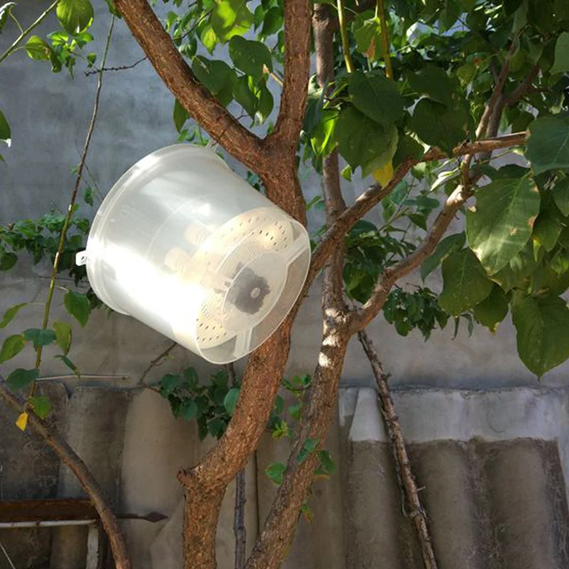 Инструменты для пчеловодства ловушка ловли мух пчел висящая на дереве