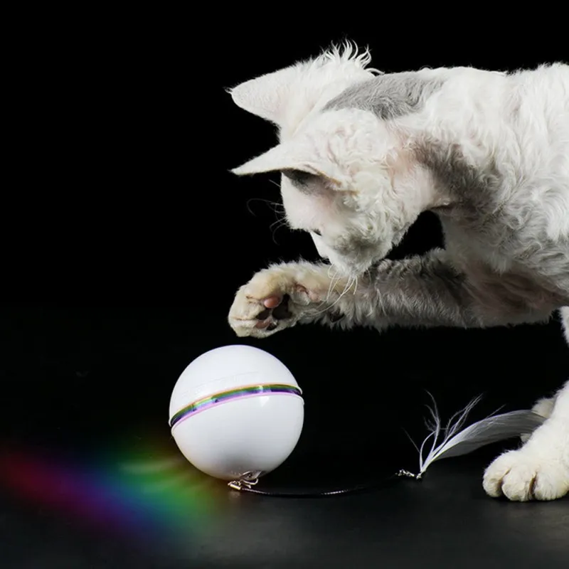 

New Electric Pet Ball Colorful LED Rolling Flash Ball With Feather USB Rechargeable Cat Ball Toy For Puppy Cats Dogs