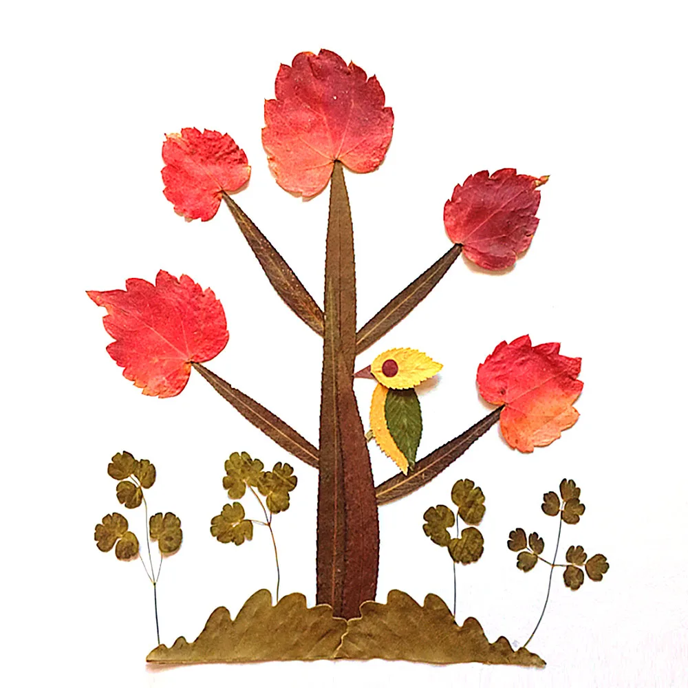 1 пакет натуральные сухие листья декоративные настоящие высушенные цветы