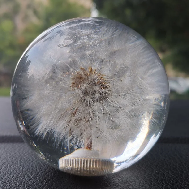 

70MM Racing Crystal Ball Dandelion Real Flowers Shift Knob Universal Shift Head With Three Threaded Adapters Car Accessories