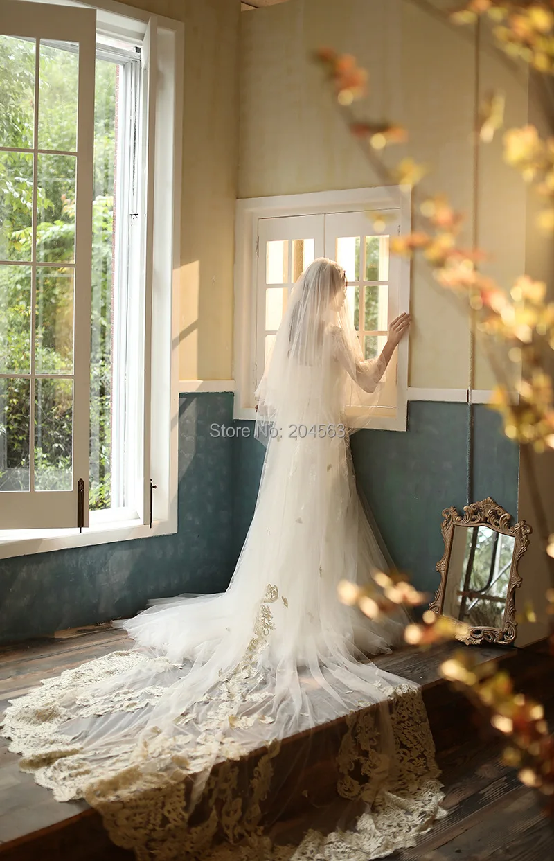 New Arrive Romantic Two Layer Wedding Veil Stunning Long Champagne Embroidery Bridal Veils with Comb AX2020 | Свадьбы и торжества