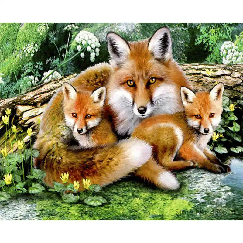 Картина по номерам рамки Раскраска домашний Декор картинки украшения животных RSB8448|Картины номерам| |