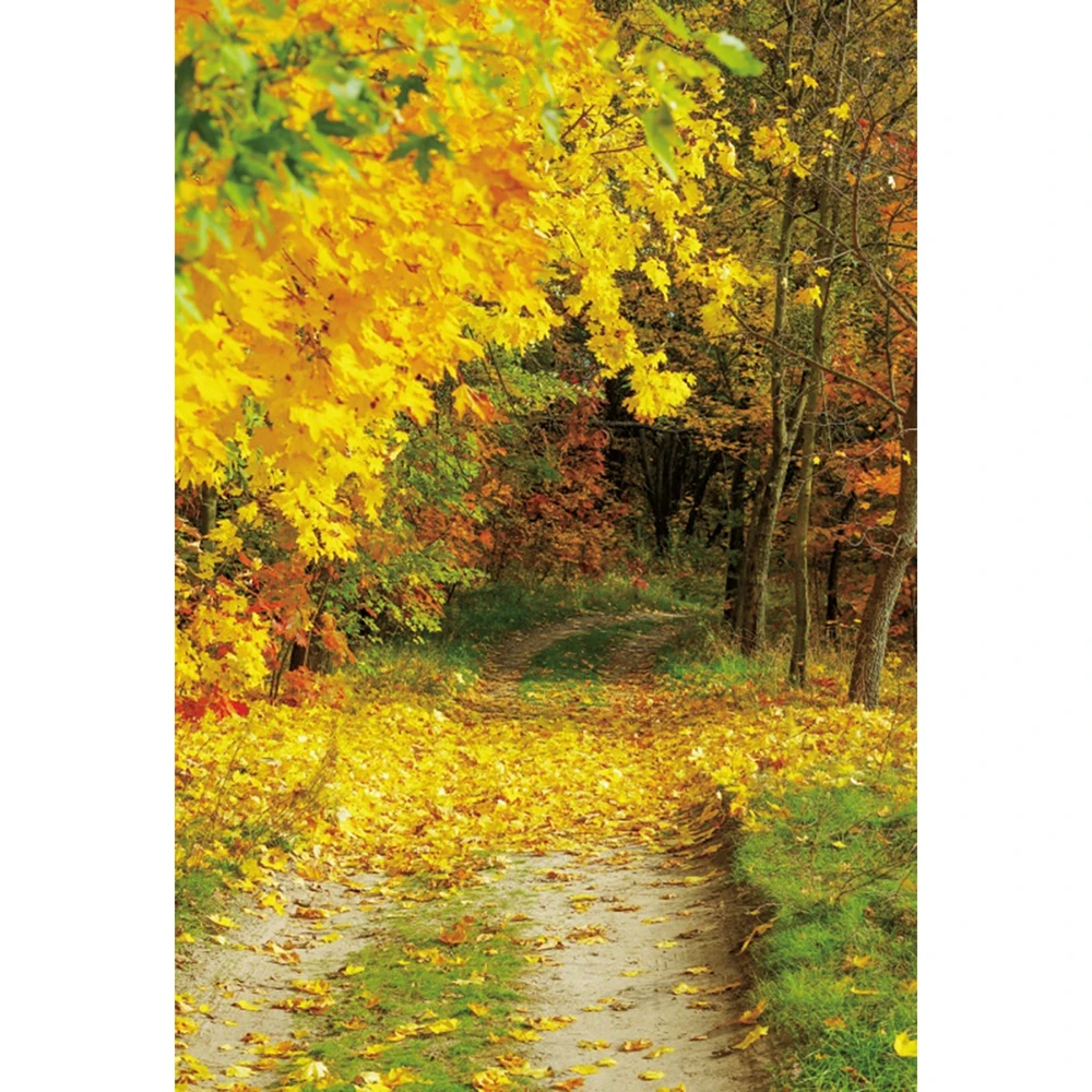 Фон для фотосъемки с изображением осеннего леса листьев природного пейзажа -