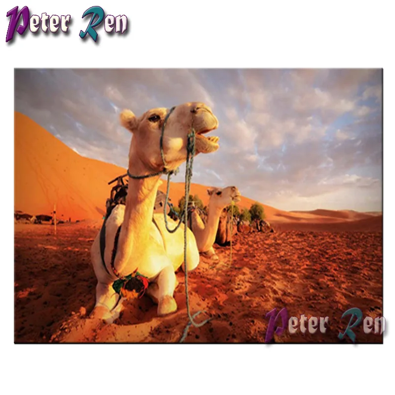 

full Square/round Animal desert camely Diamond painting cross stitch Rhinestones diamond embroidery Handmade home decoration