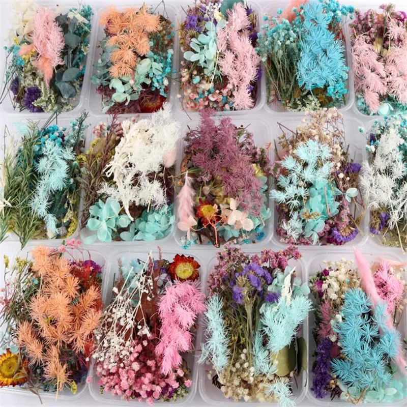 

New 1 Box Real Dried Flower Dry Plants Natural Immortal Flower Photo Frame Making Craft DIY Accessories Home DIY Decoration HOT
