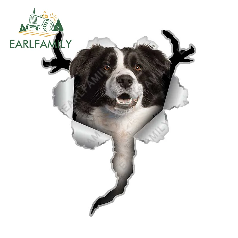 

EARLFAMILY 13 см x 10,7 см для фотографий, виниловая Автомобильная наклейка, забавная Водонепроницаемая наклейка на окна Campervan, устойчивая к царапин...