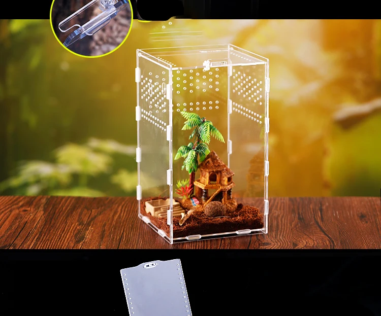 Ящик для разведения рептилий акриловый паук ящерица Скорпион Собранный