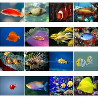 2021 5d full square round rhinestone embroidery diamond painting tropical fish art picture of rhinestones home decor