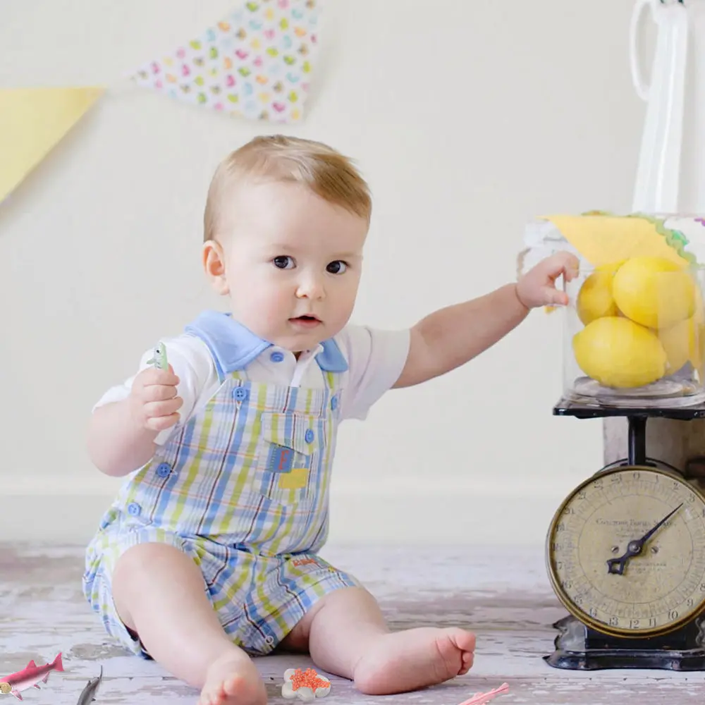 

2 Sets Octopus Salmon Life Cycle Model Fishes Growth Cycle Model Educational