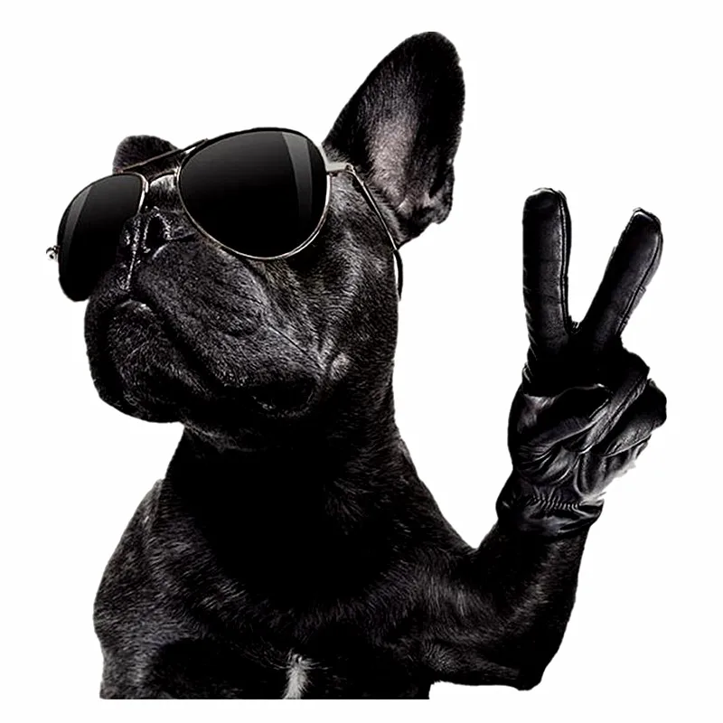 ShinEquin байкерские нашивки для одежды одежда с теплопередачей печать бульдога