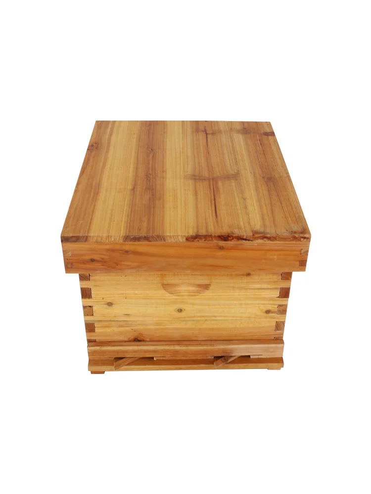 Коробка с пчелами полный набор инструментов для пчеловодства плоская коробка