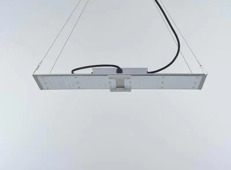 

Plant Growth Lamp