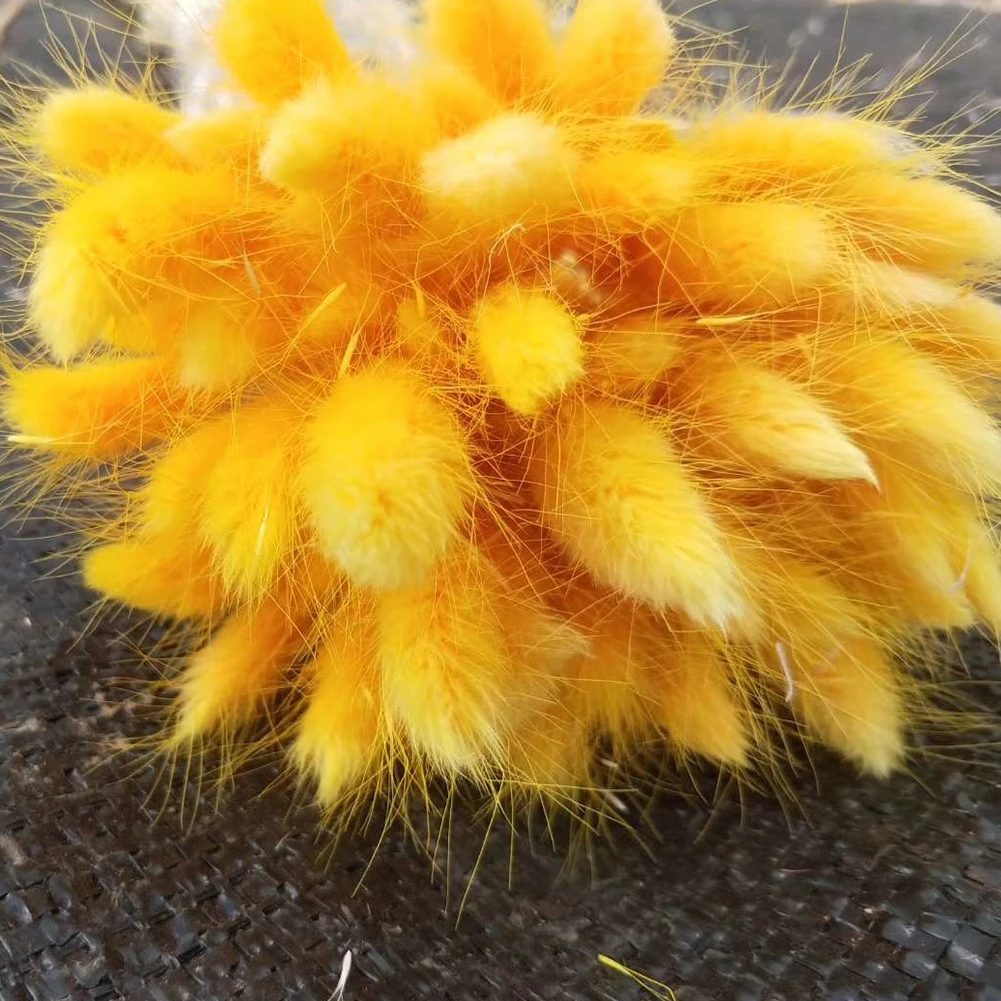 30pcs Rabbit Tail Grass Bouquet Eco Friendly Wedding Dried Flower Florist Photo Props Lagurus Ovatus Natural Gift Home Decor