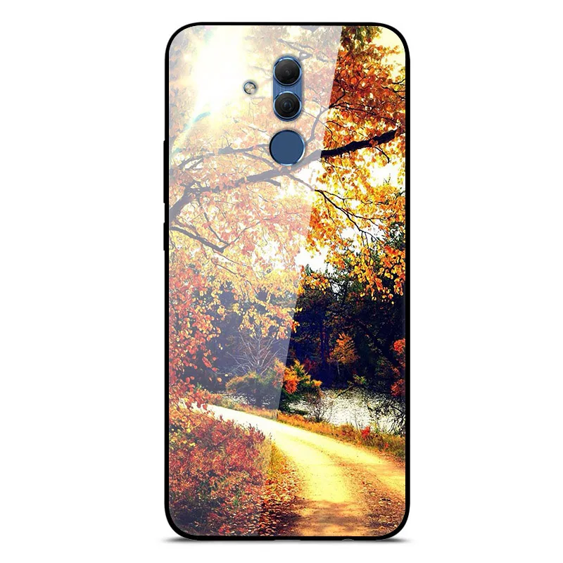 Mate 20 Lite чехол для huawei mate 20 Lite чехол s 6,3 силиконовый бампер из закаленного стекла+ Жесткая задняя крышка из поликарбоната чехол для телефона s Coque - Цвет: 34