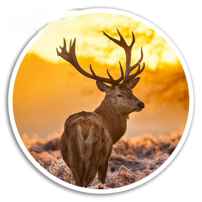 

Winter Stag Vinyl Stickers Deer Wildlife Sticker Luggage Laptop Decal Rear Windshield Waterproof Car Accessories