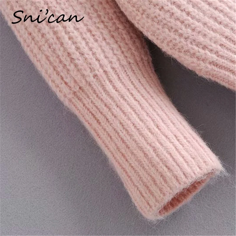 

Snican Women Turtleneck Sweater Za 2021 Fashion Pullover Femme Jumper Mujer Spring Tops Donna Maglioni