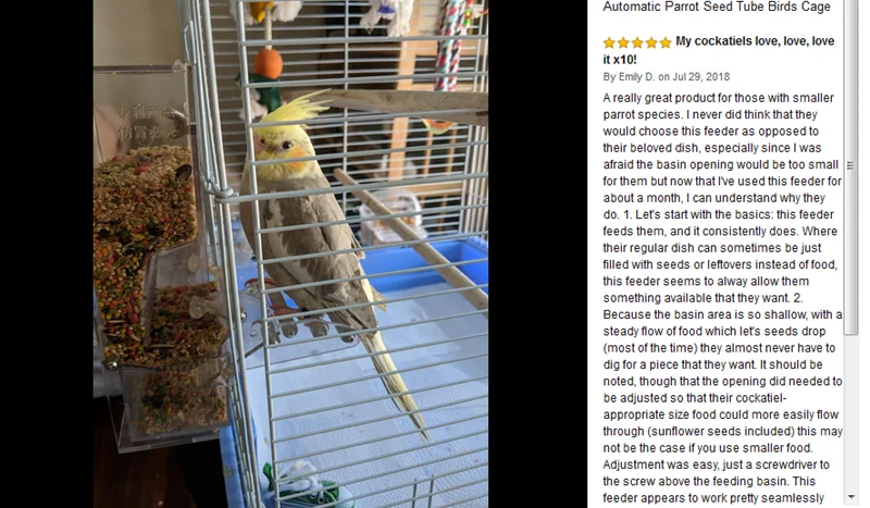 Нет Сплит кормушка для птиц для клетки, попугай автоматические кормушки системы питания Кормление станция, с окунь, один шаг формования