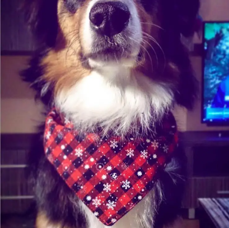 Шейный платок для домашних животных водонепроницаемый Рождественский хлопковый