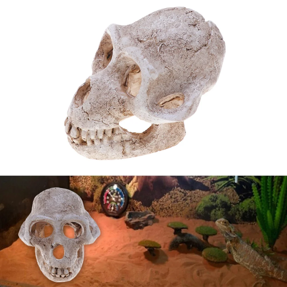 

Emulational Monkey Skelecton Head Bone Resin Ornament Fish Tank Aquarium Decoration for Reptile (White)