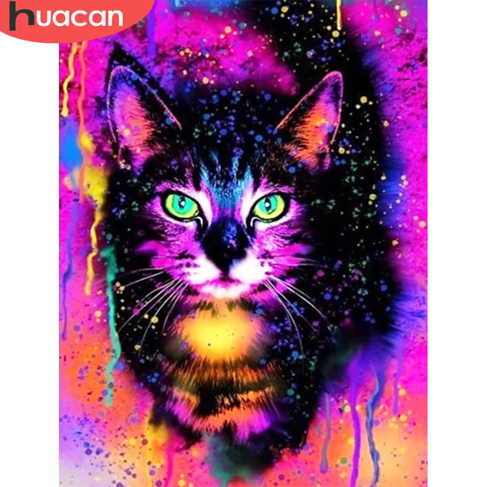 

HUACAN Picture By Number Colorful Cat Kits HandPainted Art Gift Painting By Number Animal Drawing On Canvas Home Decor 60x75cm