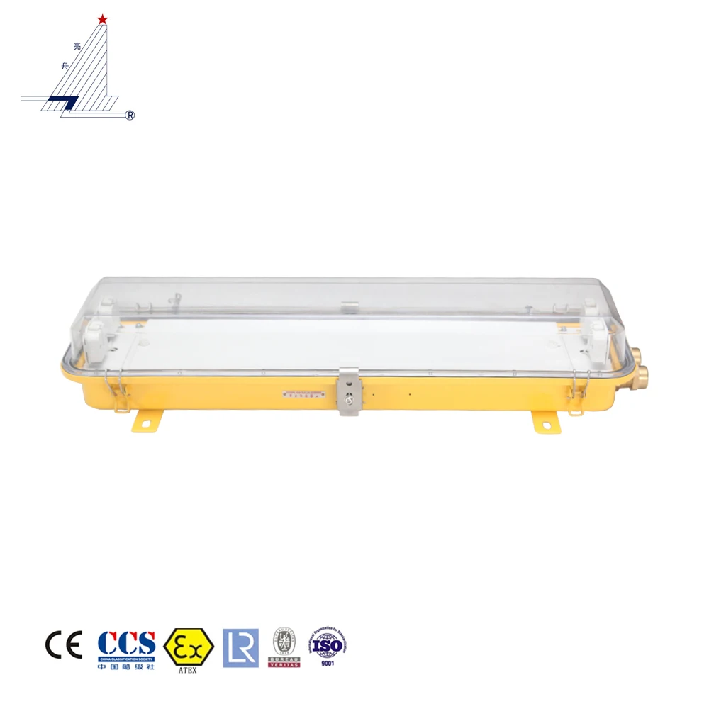 

Marine explosion-proof tube fluorescent light CFYD20-2