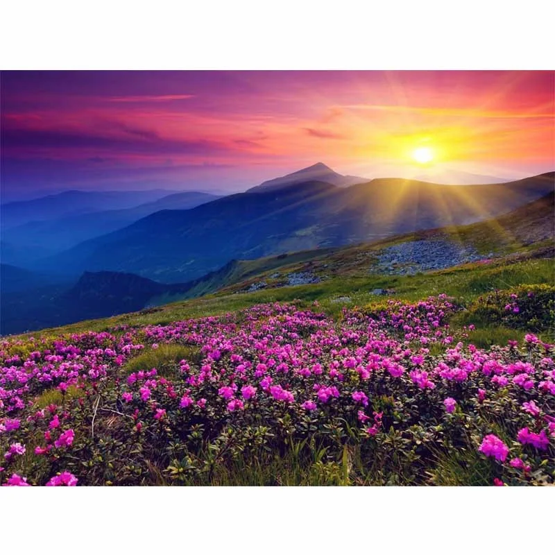 Набор для рисования по номерам на холсте пейзаж сделай сам акриловая масляная