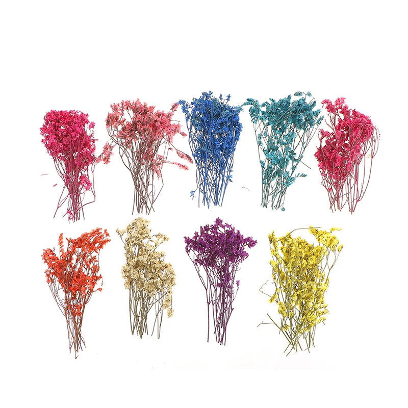 Домашний офисный декор для вечерние Натуральные сушеные цветы дыхания