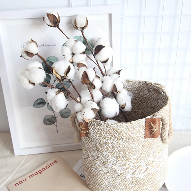 

6 Pcs 10 Heads Dried Cotton Stems Home Decor Natural Dry Cotton Artificial Plant Flower Long Branch Wedding Party Decor