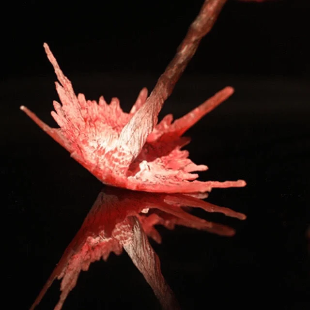 Фигурки героев фильма король монстров версия 2019 |