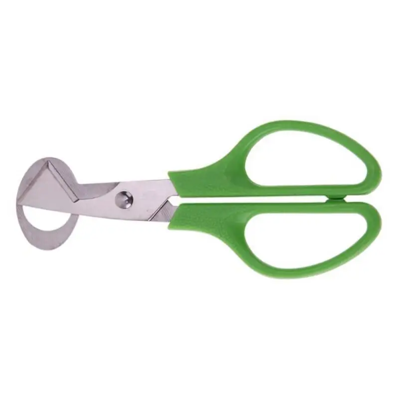 Quail Egg Scissors Stainless Steel Cutting Whisk Egg Kitchen Tool Appliance Pigeon Egg Scissor Bottle Opener Egg Shell Cutter