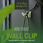 10 шт невидимые стены лозы светильник Настенный крюк восхождение чечевицы фиксаж дома балкон украшения сада держатель