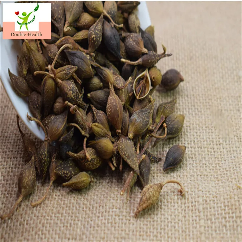

Chinese Herbs Forsythiae Fructus/Fructus Forsythiae/Lian Qiao