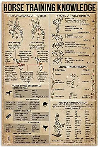 

Human Skull Konwledge Retro Konwledge Metal Tin Sign, Wall Decoration,Bar,Restaurant, Cafe, Living Room, Bedroom, Garage 12x16