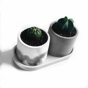 Формы для изготовления бетона 