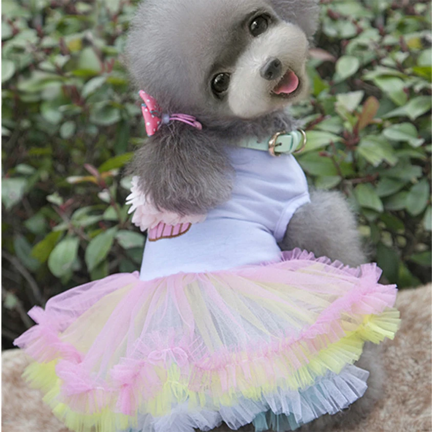 

2021 new Dog clothes pet summer dress Clothing for cats small dogs skirt Puppy wedding evening fancy cute and Cake colorful yarn