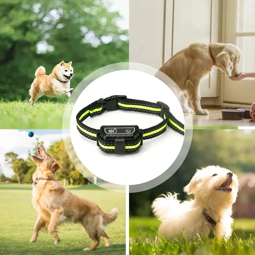 

Pet Products
