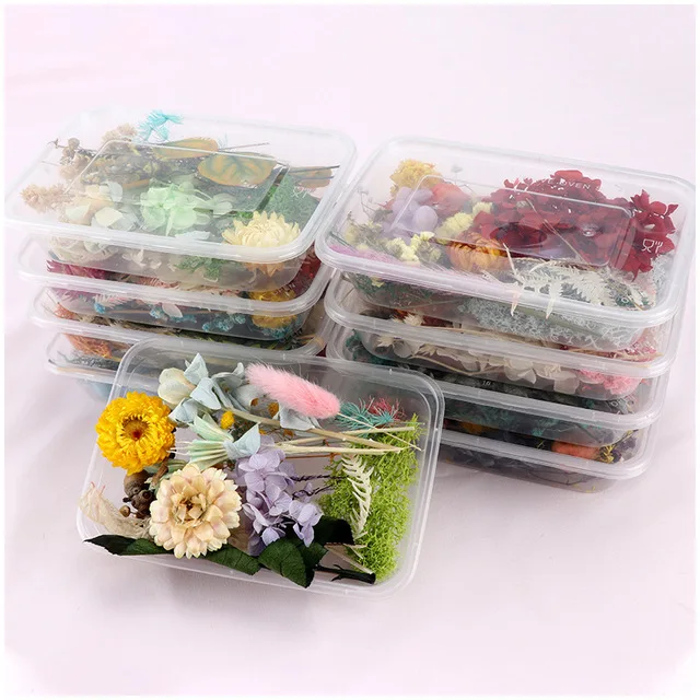 

1 Box Real Immortal Dried Flower Dry Plants For Aromatherapy Candle Epoxy Resin Pendant Necklace Jewelry Craft DIY Materials