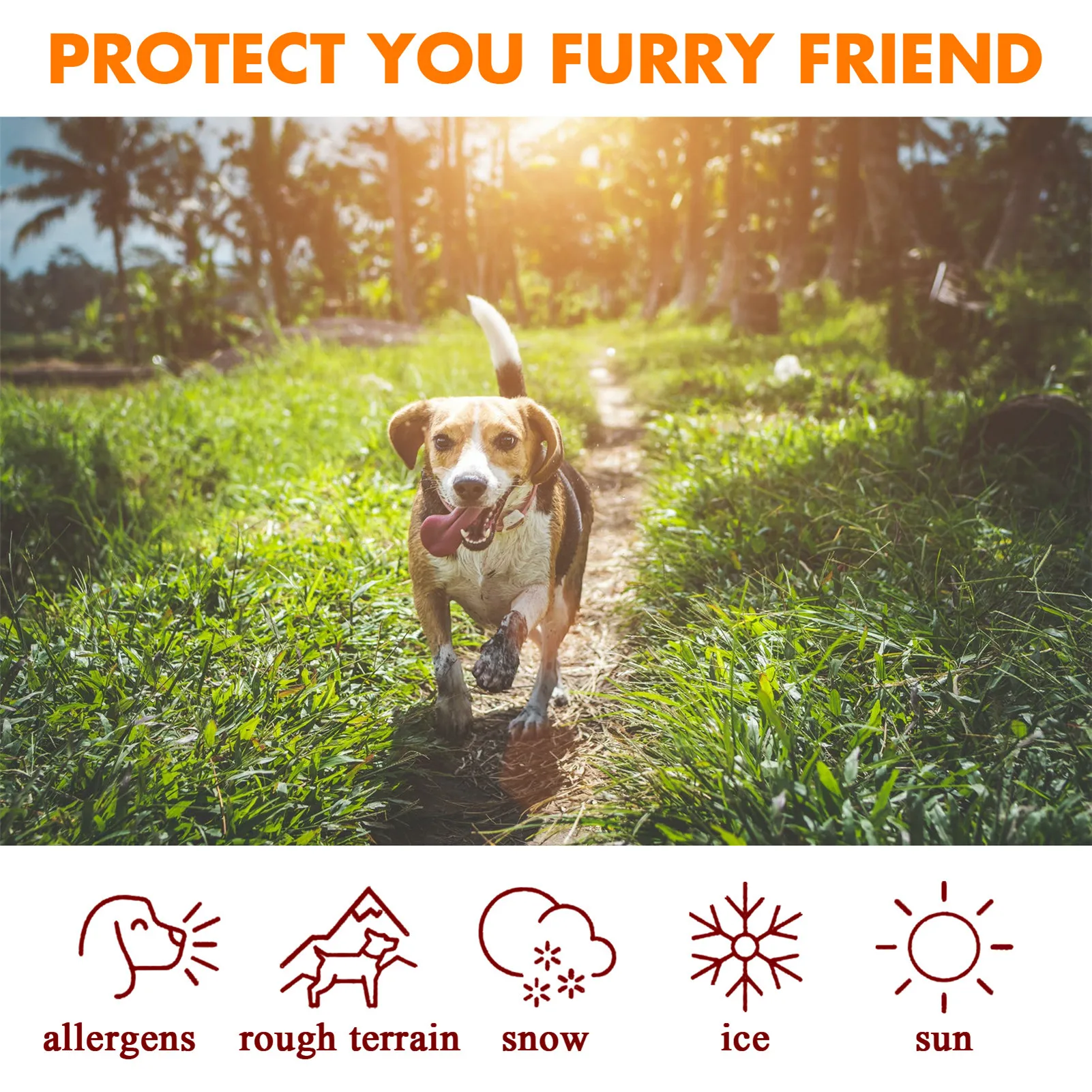 

30ml Pet Paw Care Cream Natural Healthy Pet Foot Protection Oil