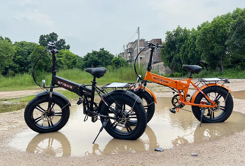 

EP-2PRO 20" 4.0inch Fat Tire Electric bike 48V12.8AH electric bicycle Foldable 45km/h 750W Powerful Mountain Snow ebike