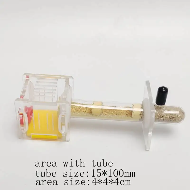 Муравьи гнездо фермы с областью и бамбуковой соединительной трубкой|Товары для