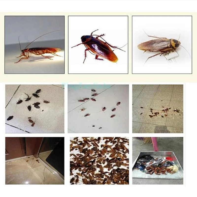 

10PCS Effective Killing Cockroach Bait Powder Cockroach Repeller Insect Roach Killer Anti Pest Reject Trap Pest Control