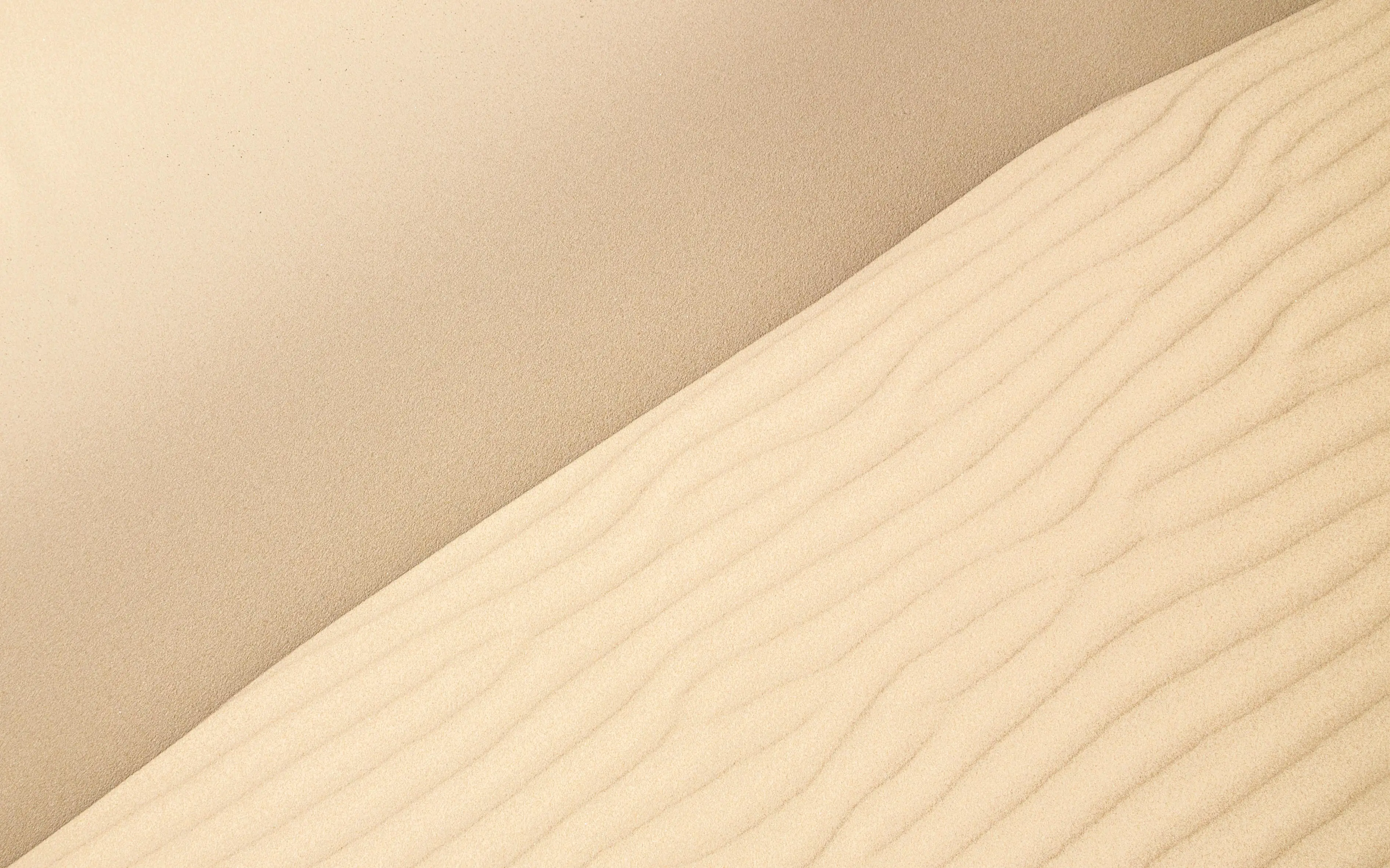 11 | Дом и сад