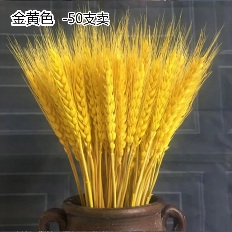Gold Yellow 50 шт./лот реальные пшеницы цветок уха натуральные сухие цветы для Свадебная вечеринка украшения для самодельного изготовления высушенный букет украшения для дома - Цвет: Gold Yellow