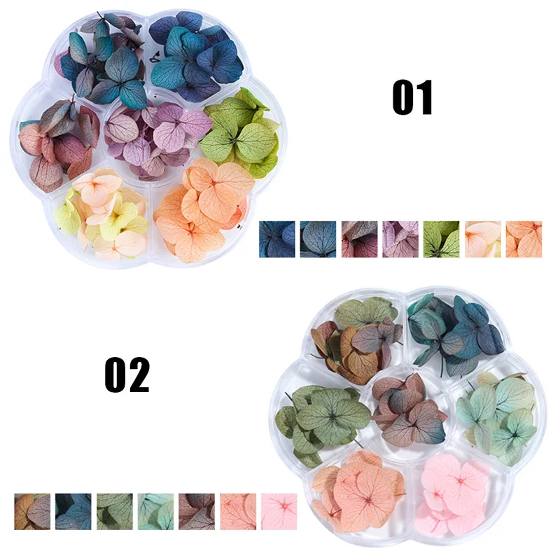 1 коробка красочный сохраненный свежий цветок Дизайн Ногтей Сушеный Цветок