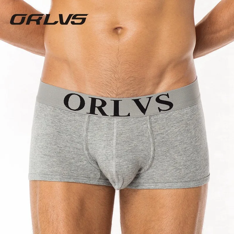 ORLVS бренд пенис Сексуальный боксер хлопковое мужское белье U мешочек трусы