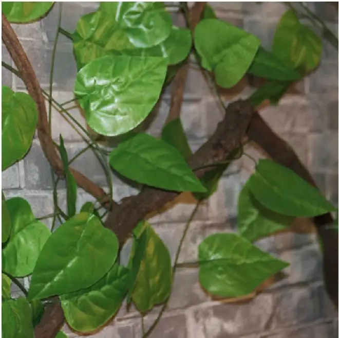 

Idyllic Decorative Artificial Climbing Vine Fake Ivy Cane 2.3 Meter Long Apple Leaf For Home Wall Restaurant Garden Railing Deco