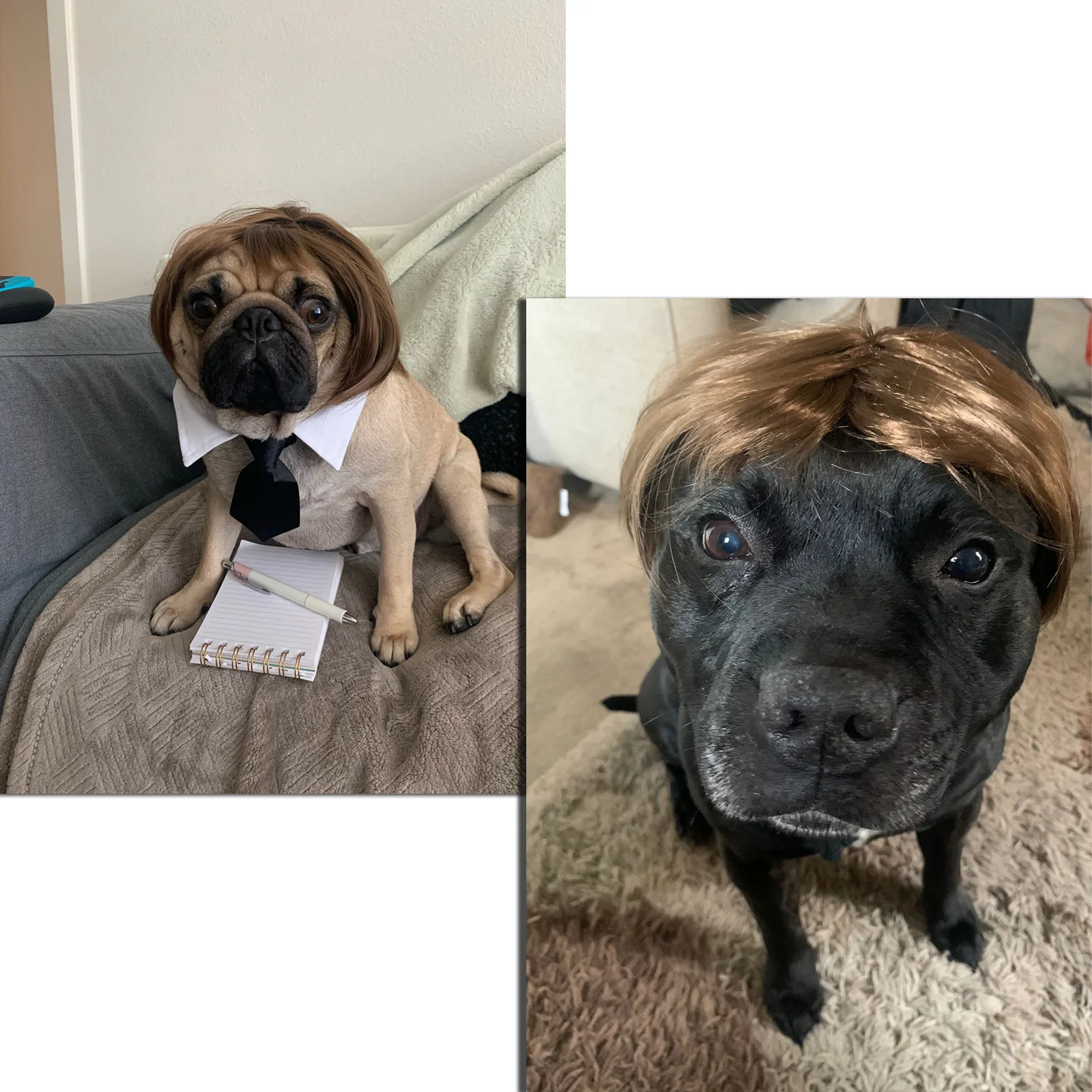 Dog Cosplay Wig for Small Dogs Pet Supplies Dance Accessories Decorative Hair Chihuahua Teddy Bulldog | Дом и сад