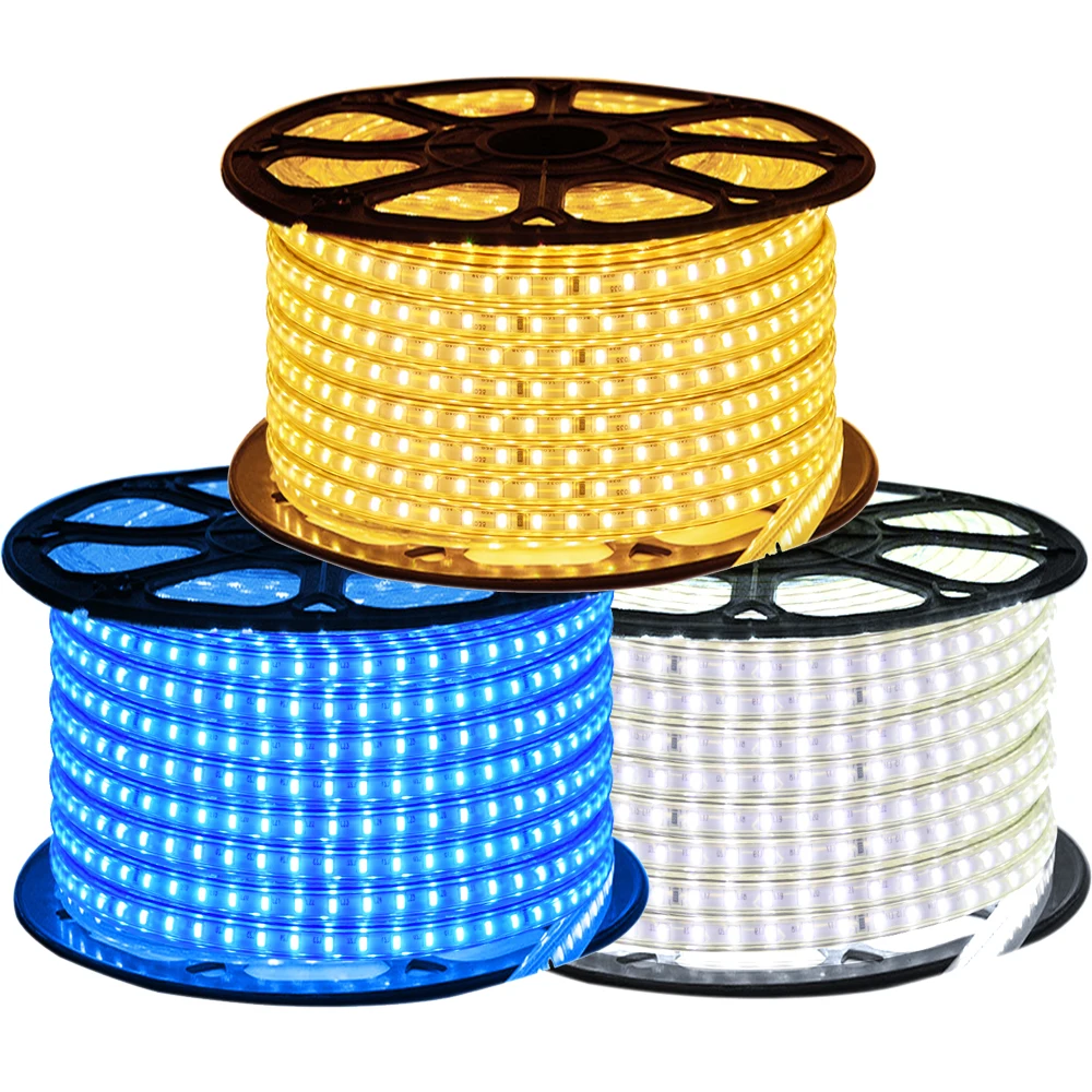 LED Strip EU 220 240V Waterproof IP67 Outdoor Rope White/Warm White/Blue SMD 3014 120LEDs/m LED Light Strip +EU Switch plug