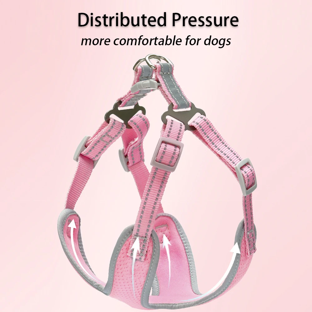 Воздухопроницаемая летняя шлейка для собак с поводком шлейки маленьких и